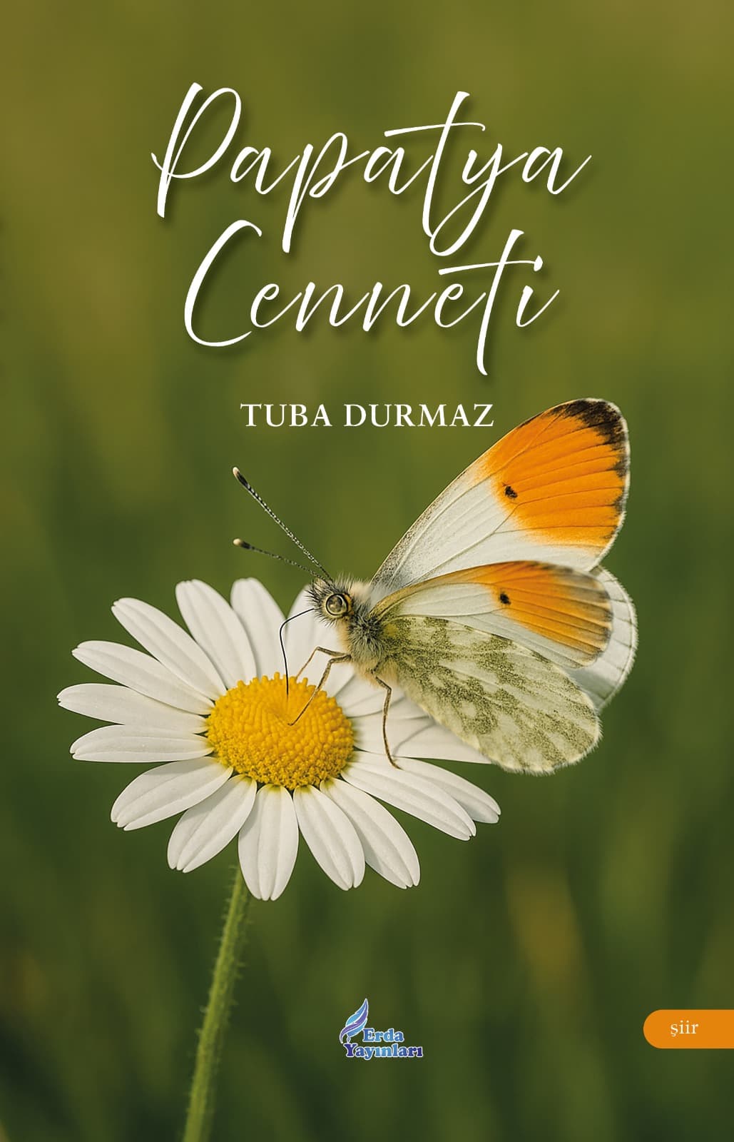 PAPATYA CENNETİ